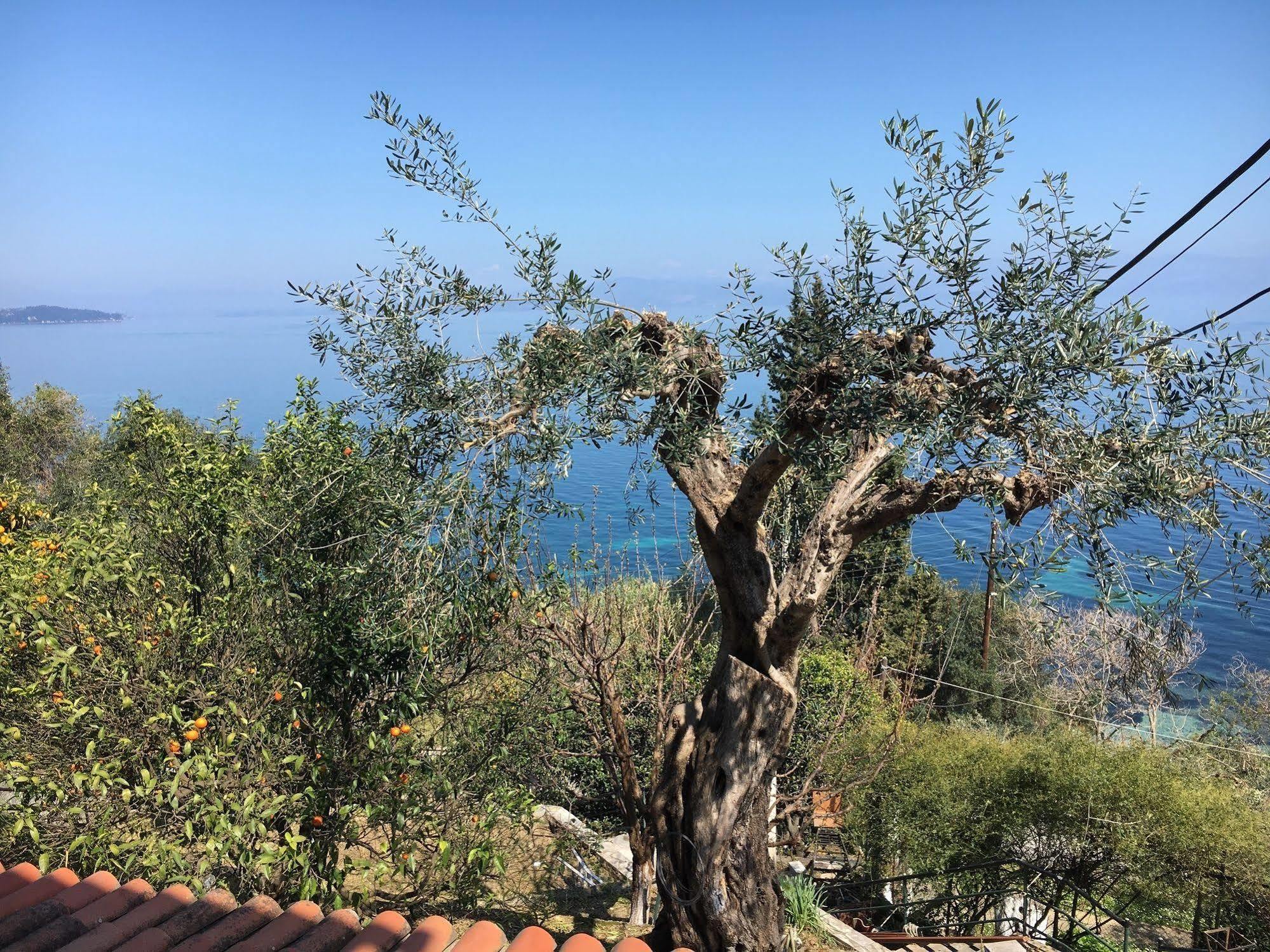 מלון בניטסס Casa Dei Venti מראה חיצוני תמונה